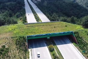 KARAYOLU VE DEMİRYOLUNDA 21 EKOLOJİK KÖPRÜ TAMAMLANDI