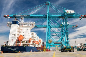 TİCARETİN MERKEZİ TÜRK LİMANLARI