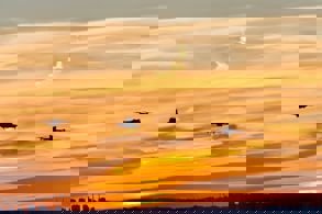 İHA PİLOTU OLMAK İSTEYENLERDE REKOR ARTIŞ