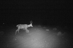 İNSANLIĞA NEFES, DOĞAYA SAYGI