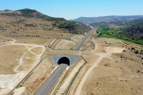 KARAYOLU VE DEMİRYOLUNDA 21 EKOLOJİK KÖPRÜ TAMAMLANDI