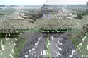 DOĞAL YAŞAMIN UMUDU EKOLOJİK KÖPRÜLER